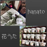 hanato & 花うた