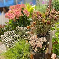 hanaEko -ハナエコ-