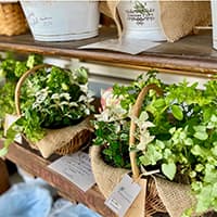 hanaEko -ハナエコ-