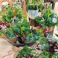 hanaEko -ハナエコ-