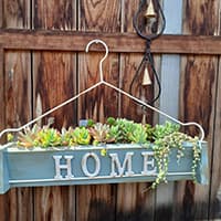 プチグリーンさちこ