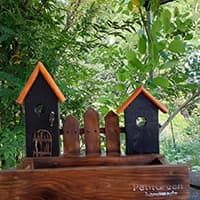 プチグリーンさちこ