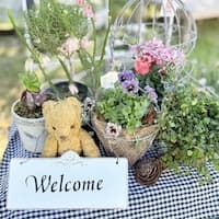 Atelier わたぼうし