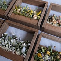 driedflower works -残香-