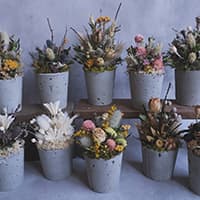 driedflower works -残香-