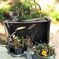 green and happy life