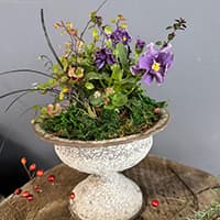 green and happy life