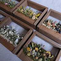 driedflower works -残香-