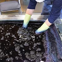 碧海aoi～sea glass～