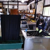 碧海aoi～sea glass～