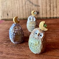 チビネリコウボウ