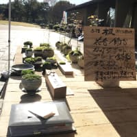 木工やまぼうし