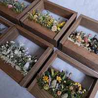 driedflower works -残香-