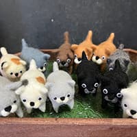 シロクロらいおん