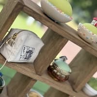 青木涼歩/あおさのり