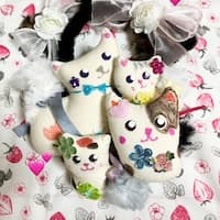 キムジュンジュン