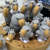 シロクロらいおん、moffy、hinatanomado