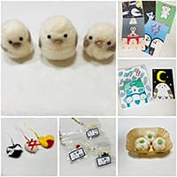 はなっぴげのでーご