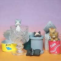 rangi changi +彩り