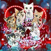 すどーちんな店