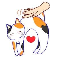 ぜろとまーだー