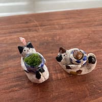 チビネリコウボウ