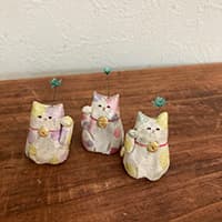 チビネリコウボウ