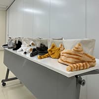 はなっぴげのでーご