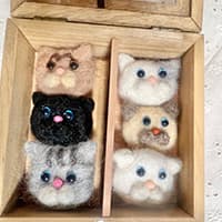 はなっぴげのでーご