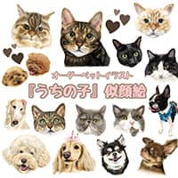 ねこめがね