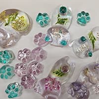 オレンジはーと