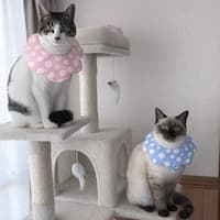 ぴこハンドメイド