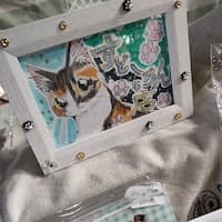 すどーちんな店