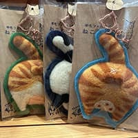 ねこわらび